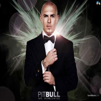 Shit Pitbull ft Nayer Bass III Euro